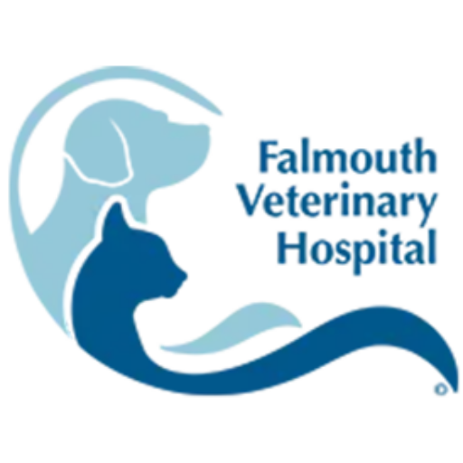 Falmouth Veterinary Hospital logo