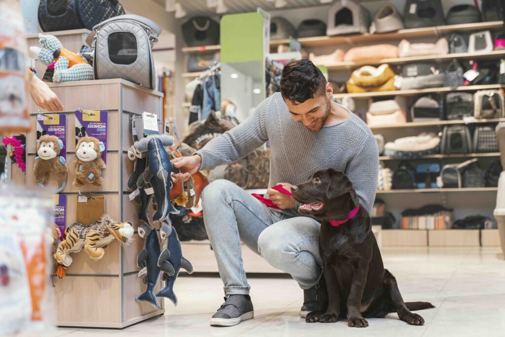 Choosing Your Pet In Falmouth, ME 04105 Falmouth Veterinary Hospital