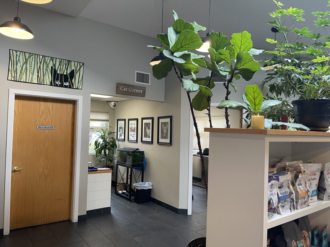 About Falmouth Veterinary Hospital Vet In Falmouth, ME 04105