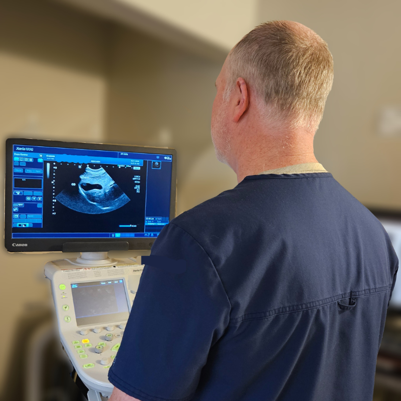 a-dog-being-examined-by-a-veterinarian